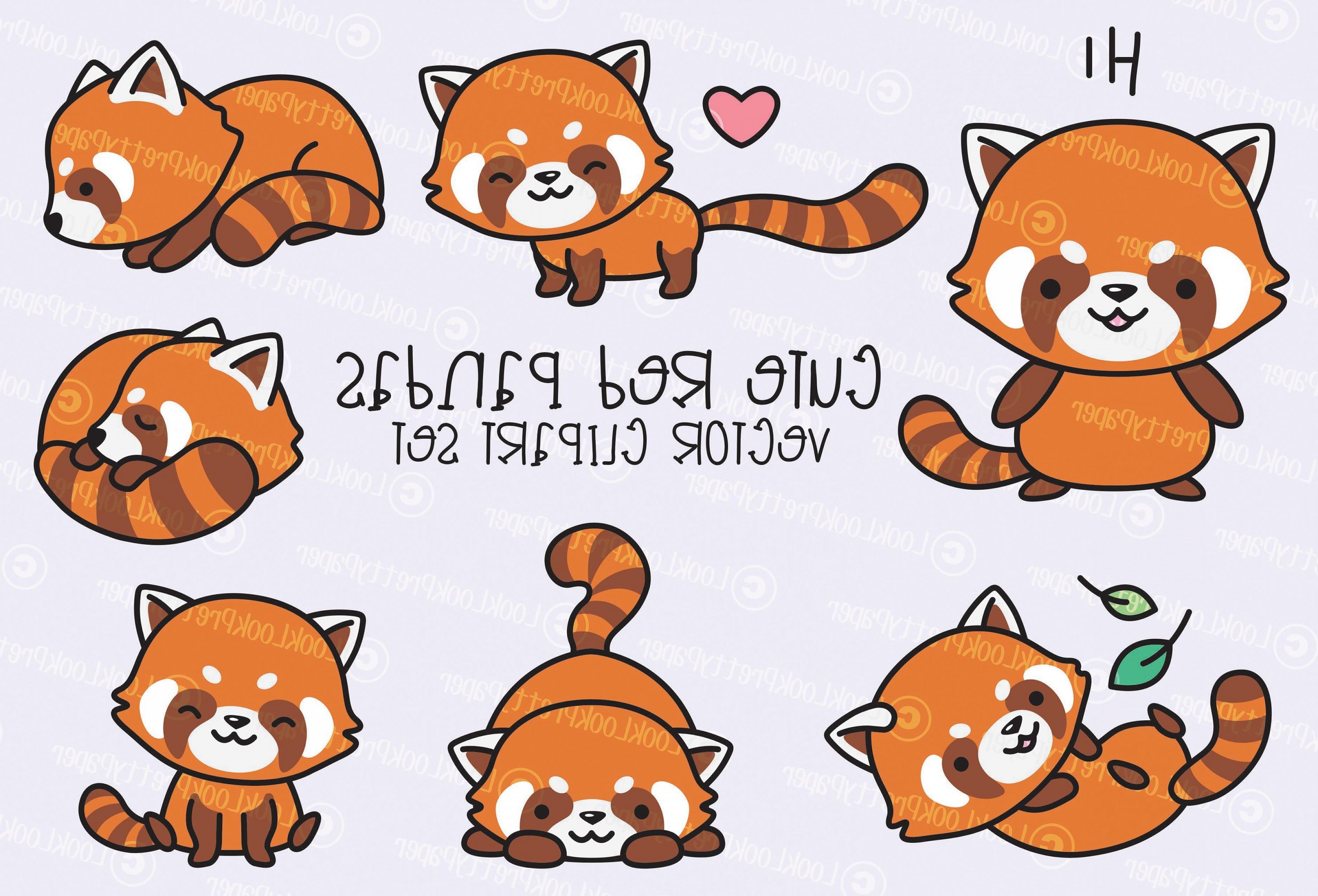 Premium Vector Clipart Kawaii Red Pandas Cute Red Panda Etsy Riset