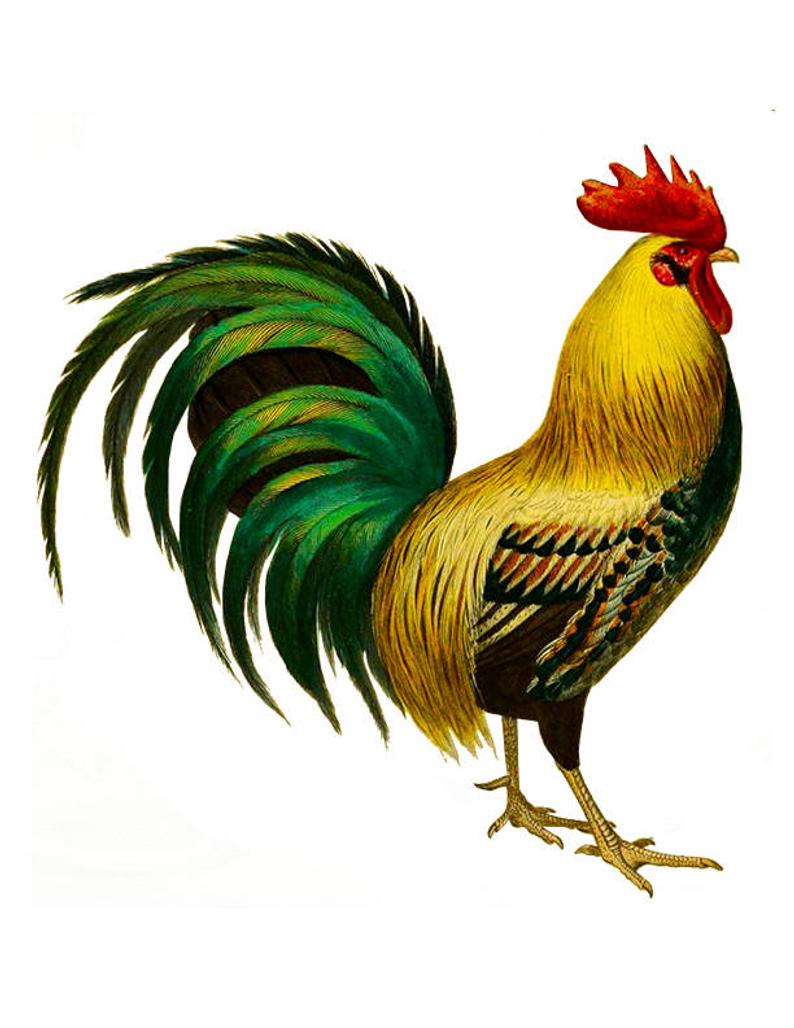 clip art rooster 20 free Cliparts | Download images on Clipground 2021