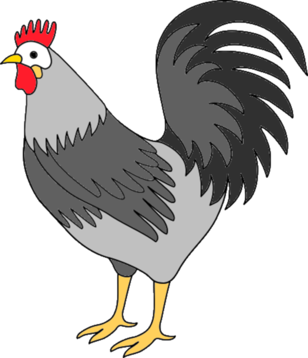 Free photo: Rooster clipart.