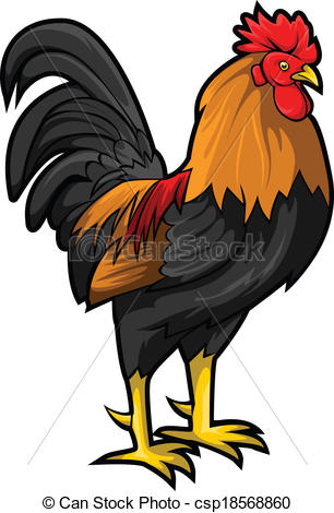 Rooster.