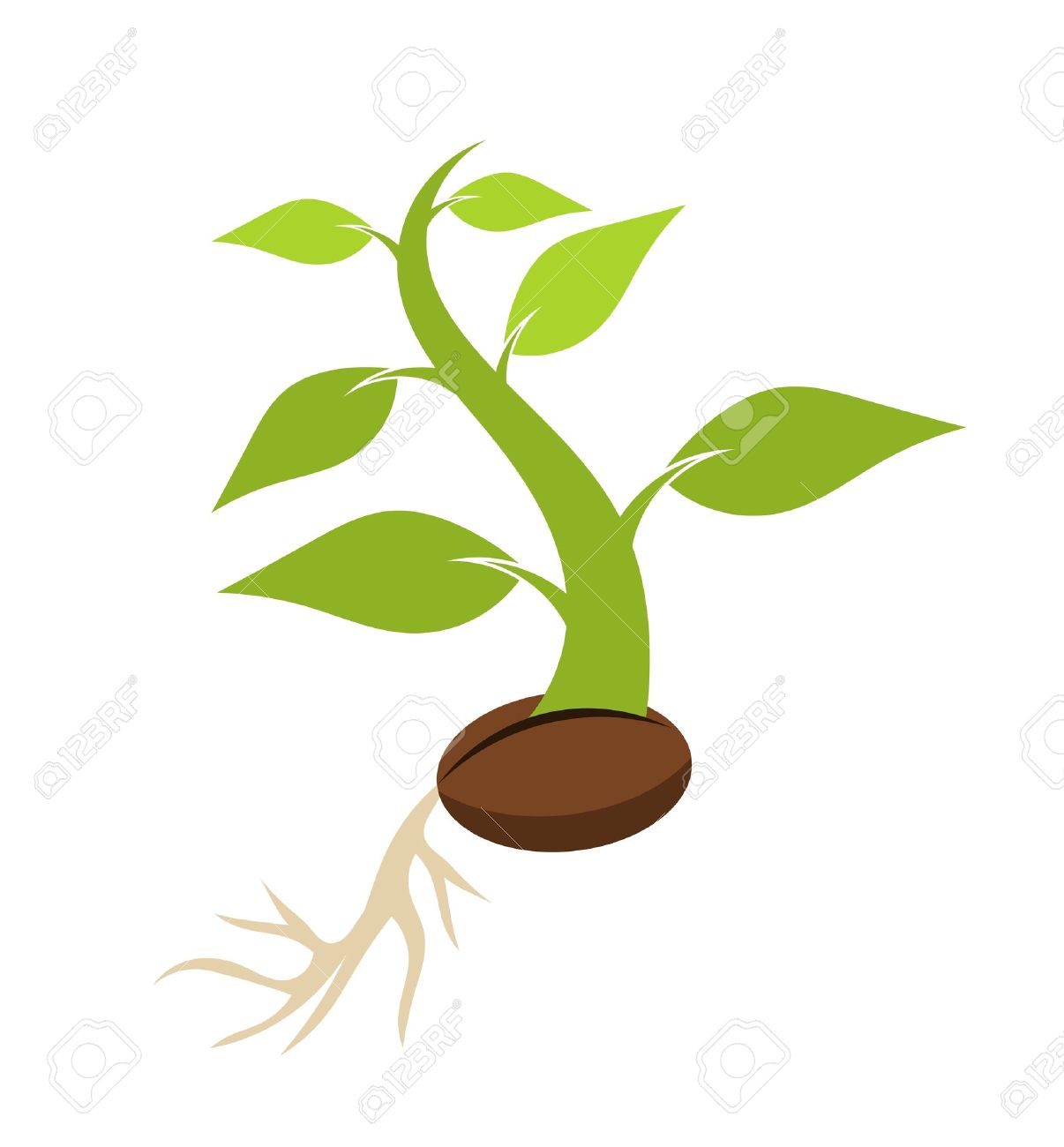 Tree seed clipart 1 » Clipart Station.