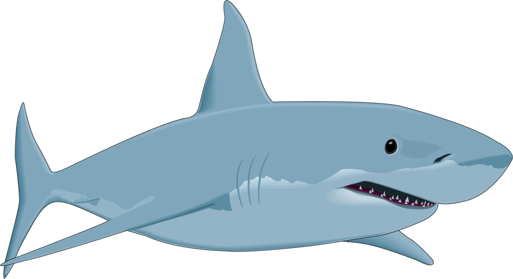 Great white shark Drawing Clip art.