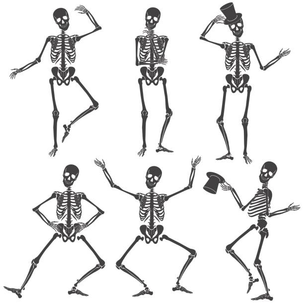 clip art skeleton 20 free Cliparts | Download images on Clipground 2021