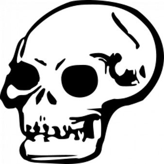 Skull Clipart Vectors, Photos and PSD files.