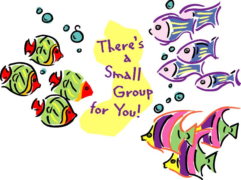 Small Group Fish.