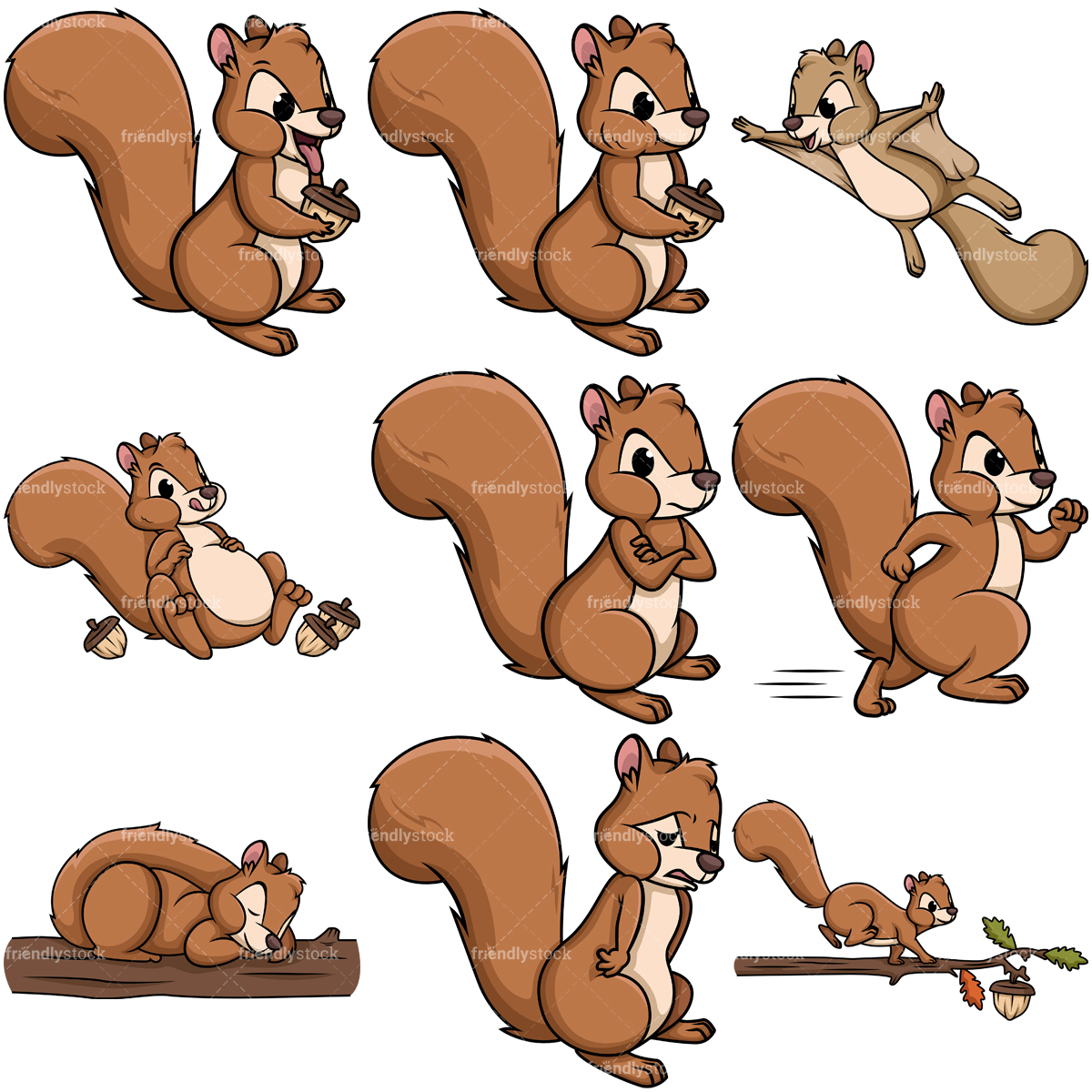 squirrel clipart