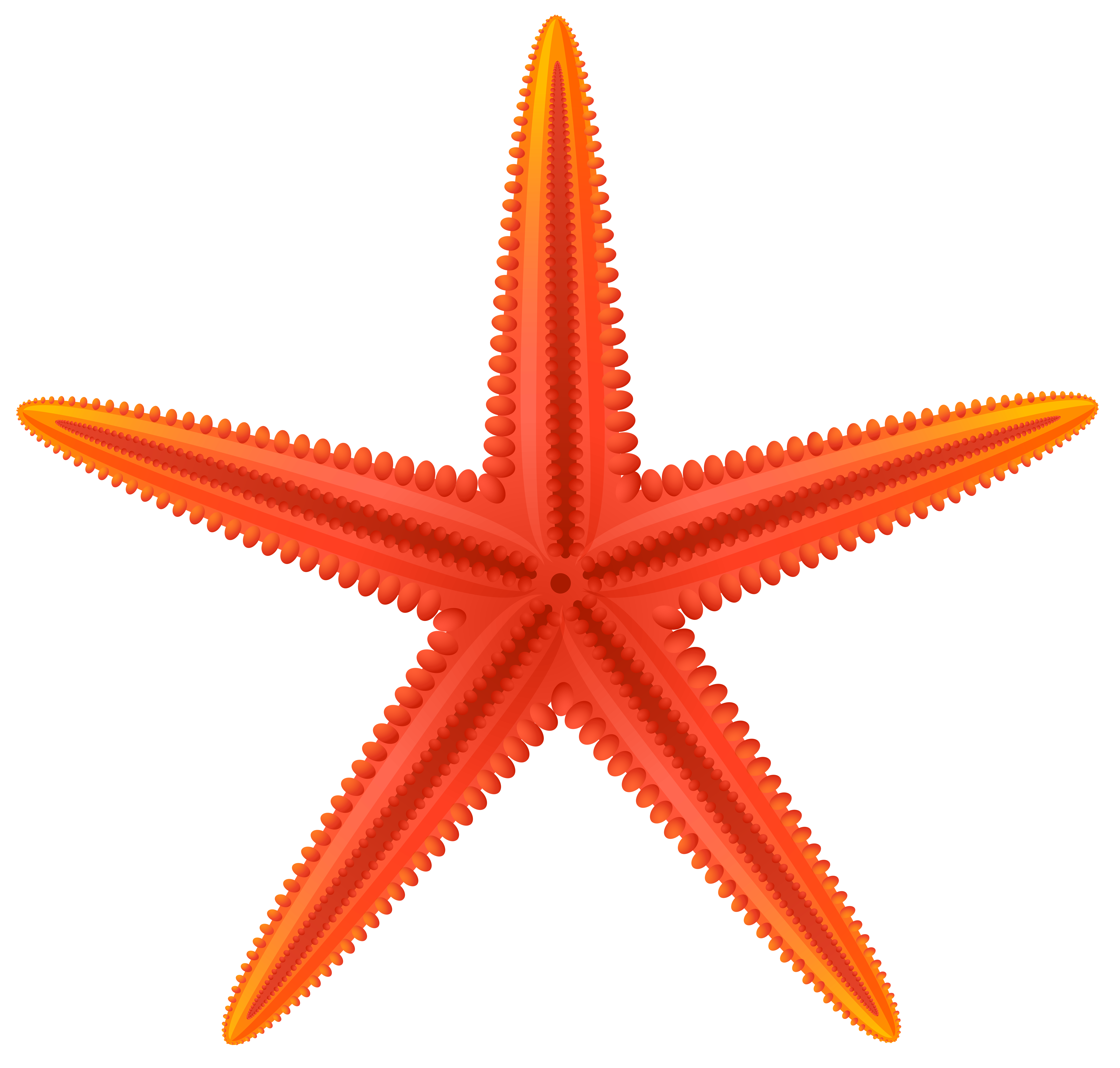 Red Starfish PNG Clip Art.