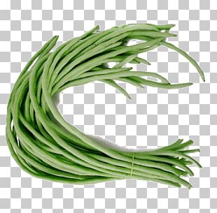 String Bean PNG Images, String Bean Clipart Free Download.