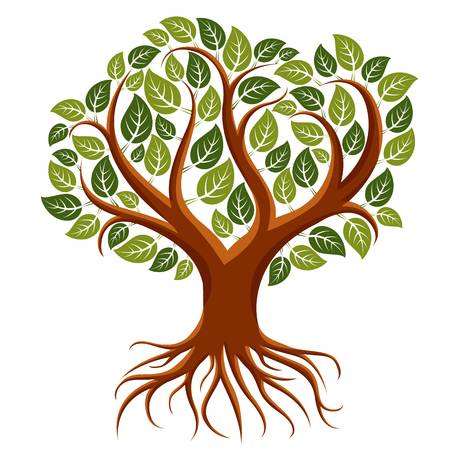 clip art tree roots 20 free Cliparts | Download images on Clipground 2024