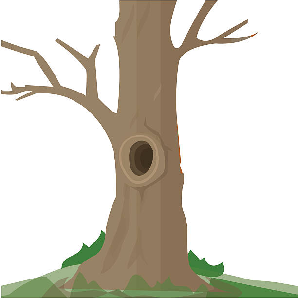 clip art tree trunk 20 free Cliparts | Download images on Clipground 2022