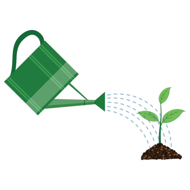 clip-art-watering-can-20-free-cliparts-download-images-on-clipground-2024