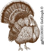 Wild Turkey Clip Art.