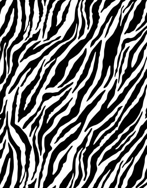 clip art zebra print 20 free Cliparts | Download images on Clipground 2024