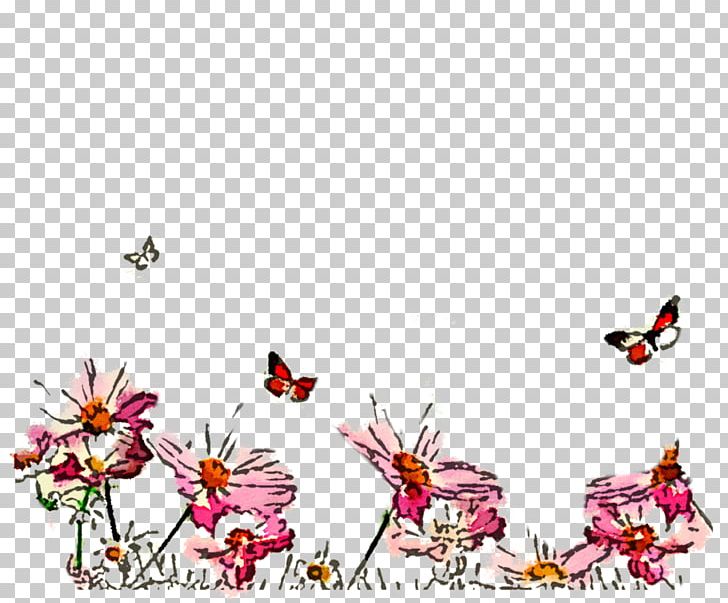 Desktop Flower Cosmos 4K Resolution PNG, Clipart, 4k.