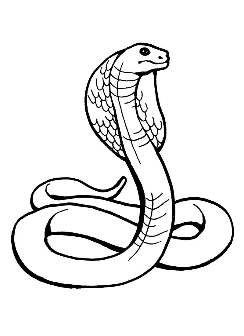 clipart anaconda 20 free Cliparts | Download images on Clipground 2024