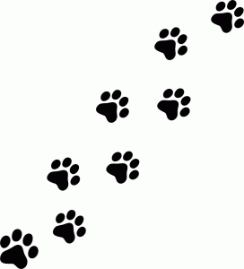 Pleasurable Design Ideas Cat Pictures To Print 16 Unique Cat Paw.