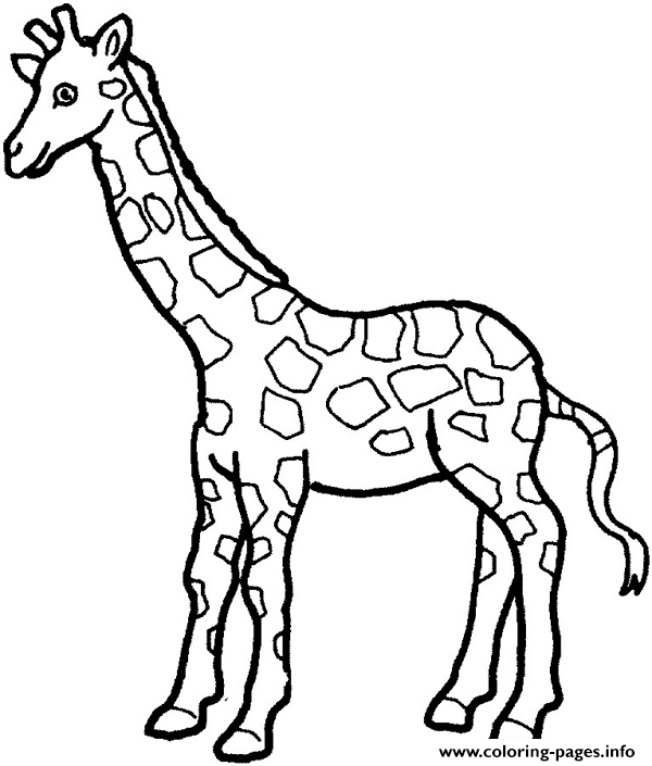 giraffe preschool s zoo animals14cd Coloring pages Printable.