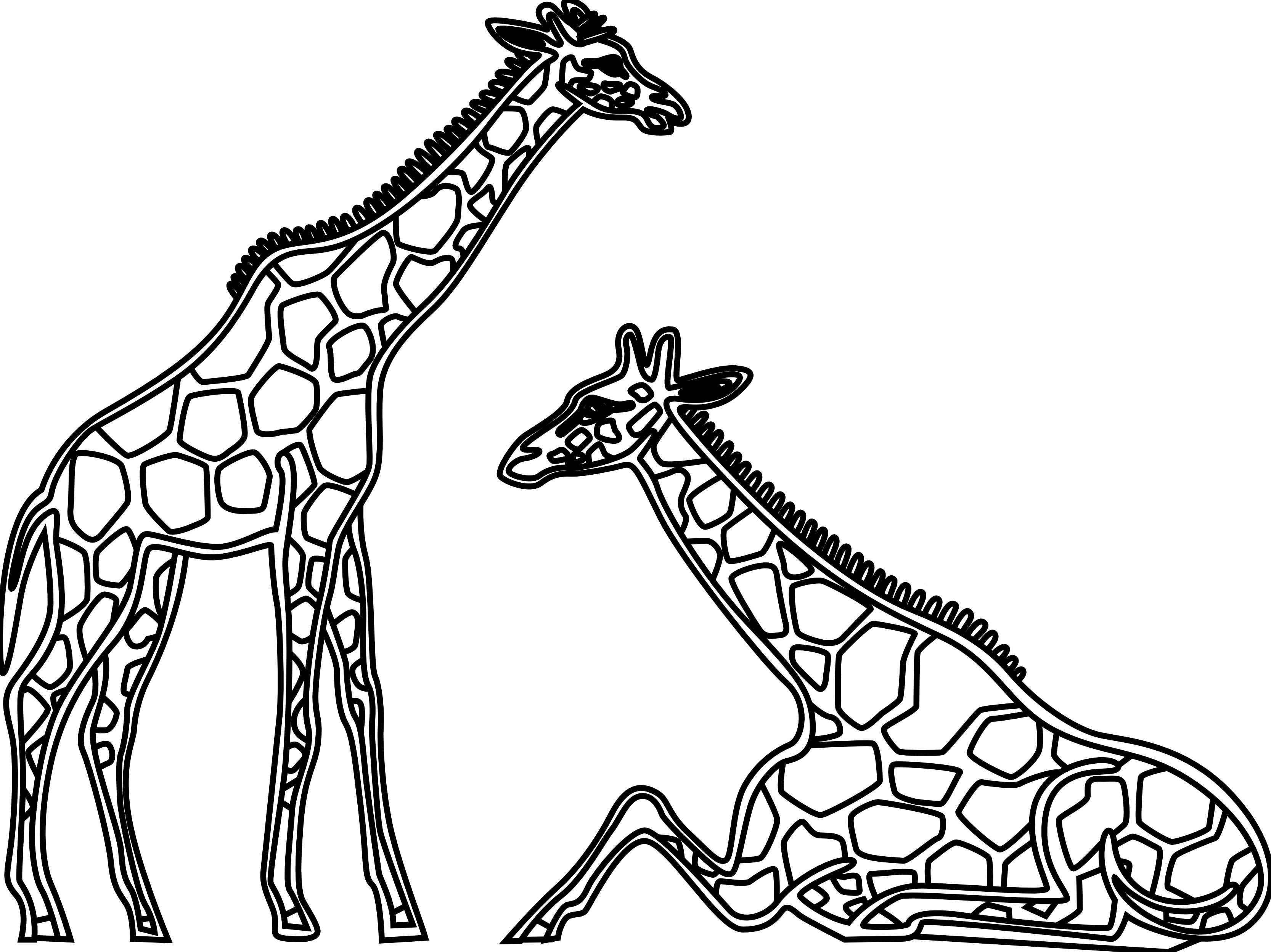 giraffe Outline of