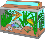 Free Aquarium Cliparts, Download Free Clip Art, Free Clip.