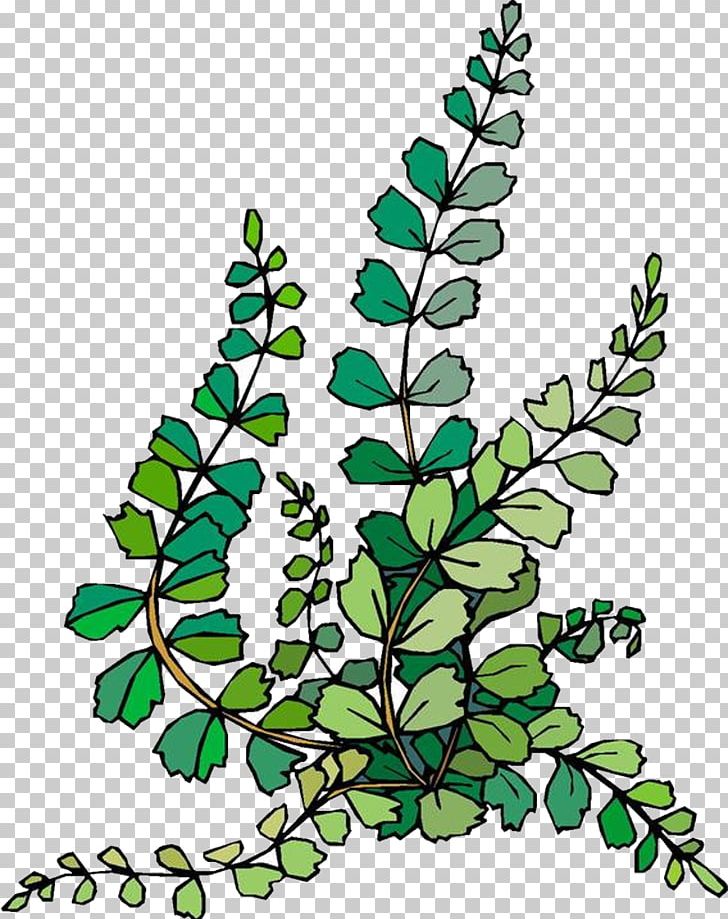 Abiotic Component Ecosystem Ecology Biome PNG, Clipart.
