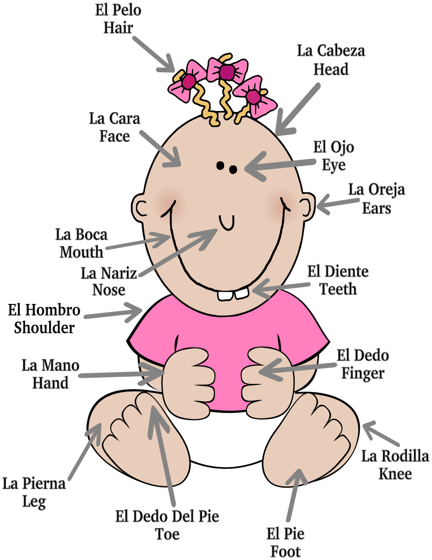 Clipart Baby Body 20 Free Cliparts Download Images On Clipground 2024