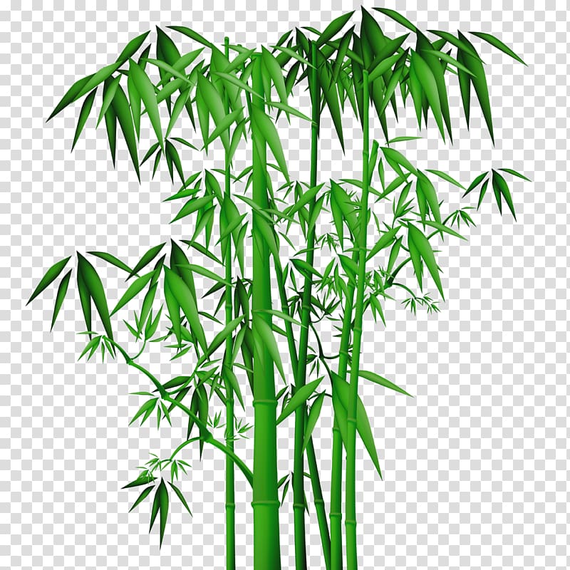 clipart bamboo trees 10 free Cliparts | Download images on Clipground 2021