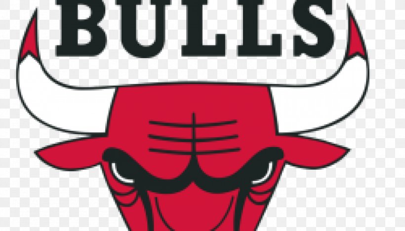 Chicago Bulls 2007 NBA Playoffs 2006.
