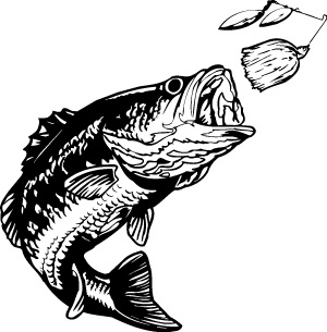 352 Bass Fish free clipart.