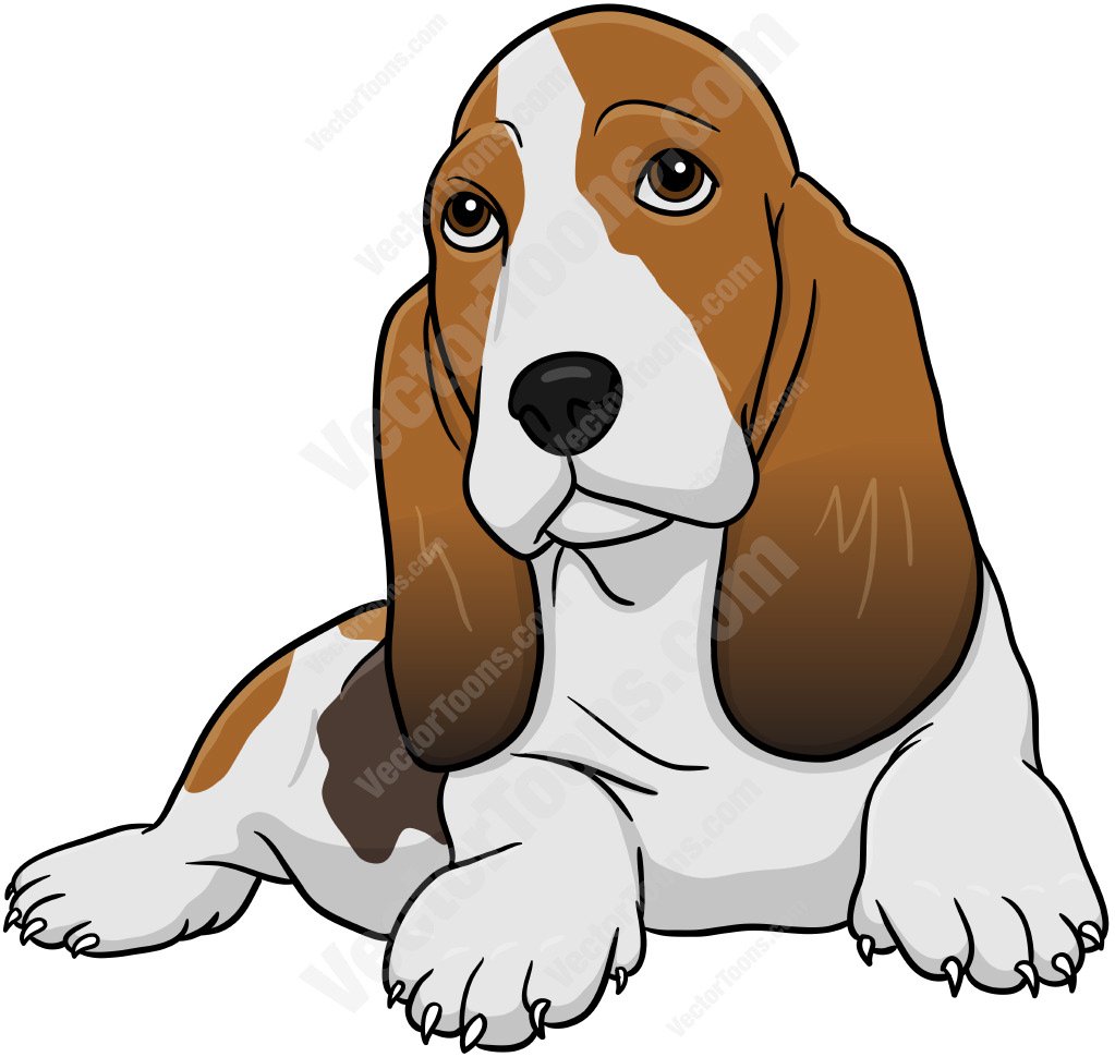 clipart bassethound 10 free Cliparts | Download images on Clipground 2023