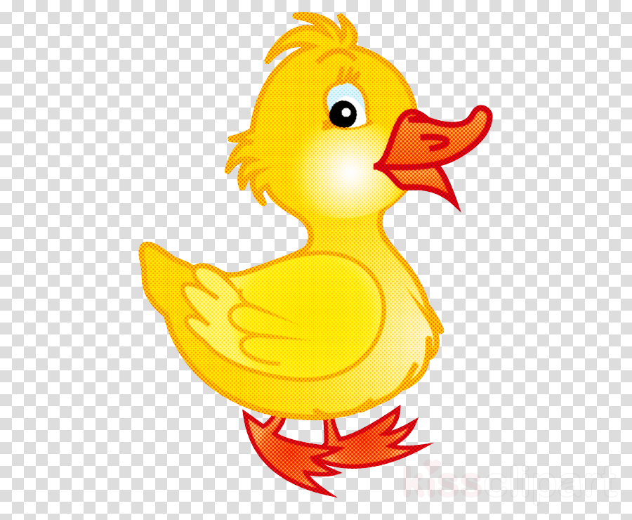 clipart beak 10 free Cliparts | Download images on Clipground 2024