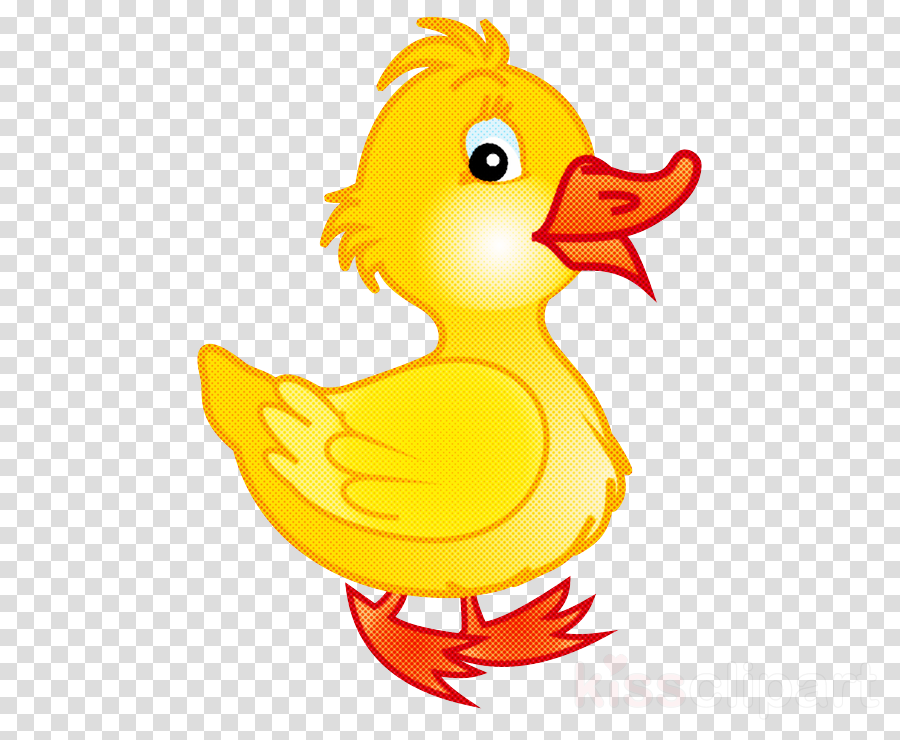 bird cartoon beak yellow duck clipart.