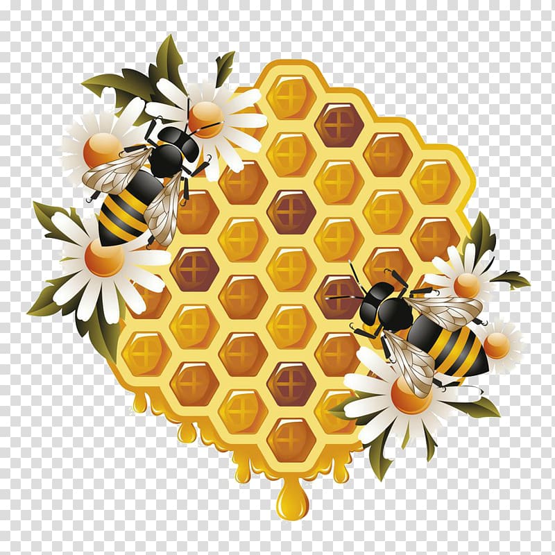 Honey comb , Western honey bee Beehive Bumblebee , honey.