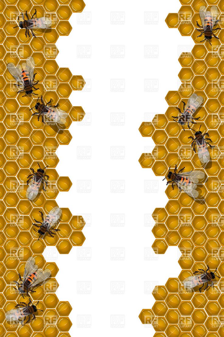 possible layout for cover public domain honeycomb.