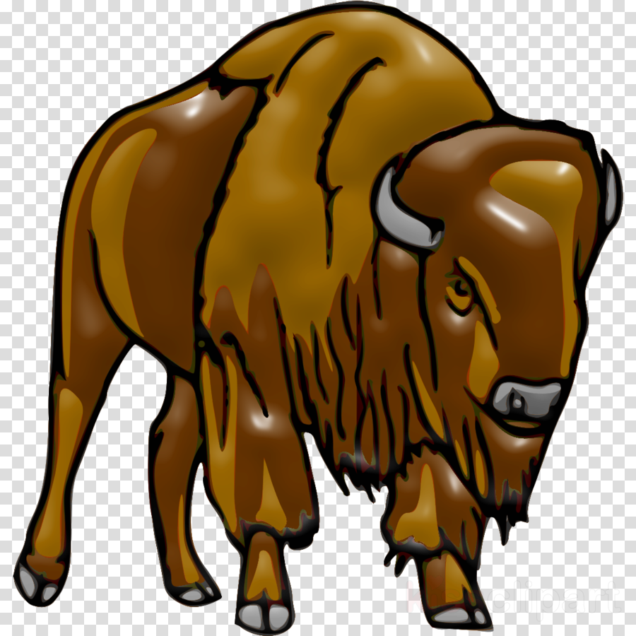 bison clip art bovine animal figure terrestrial animal.