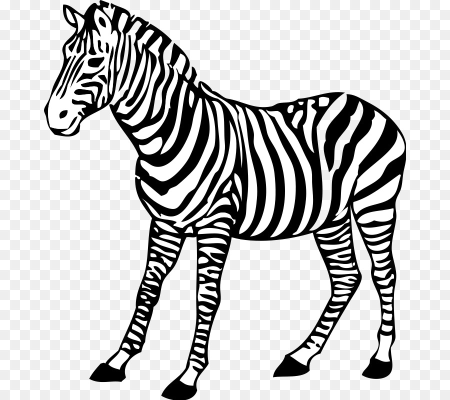 Zebra Black And White Clip Art Animals Cliparts Png Download Lovely.