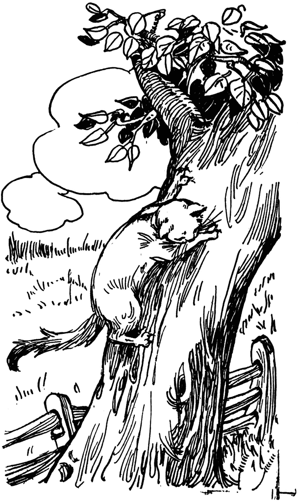 Cat In Tree Clipart.