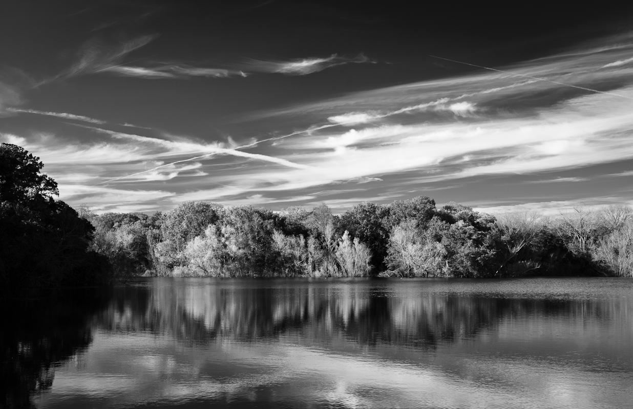 Reflections in Black & White.