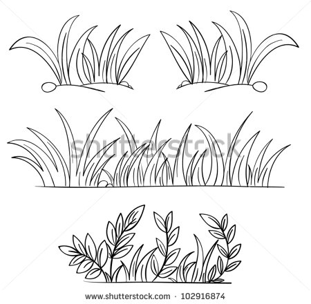 Illustration Grass Plant Outlines Stock Vector 102916874.