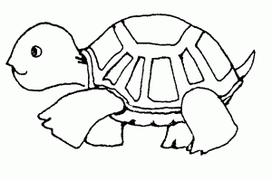 Clipart black and white turtle » Clipart Portal.