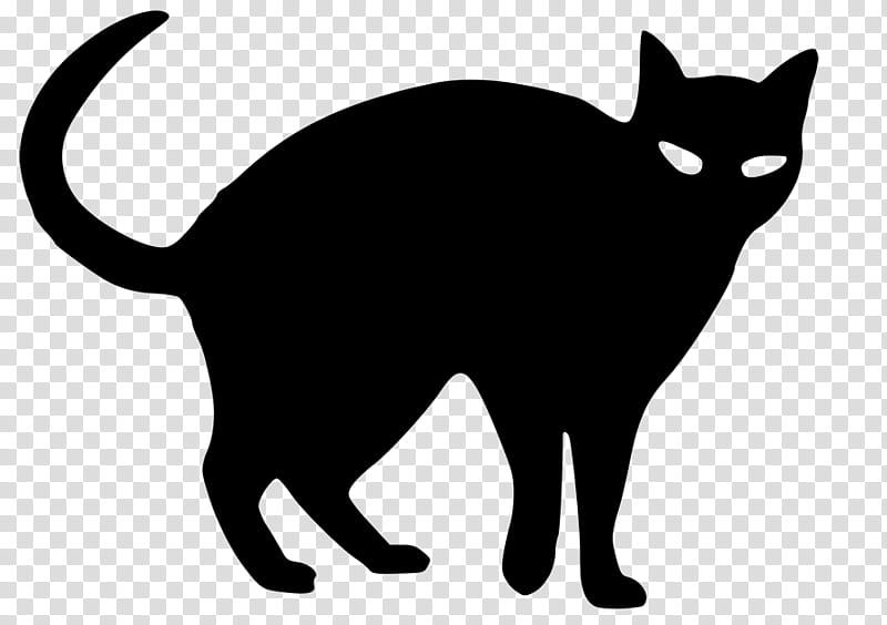 Halloween s, black cat illustration transparent background.