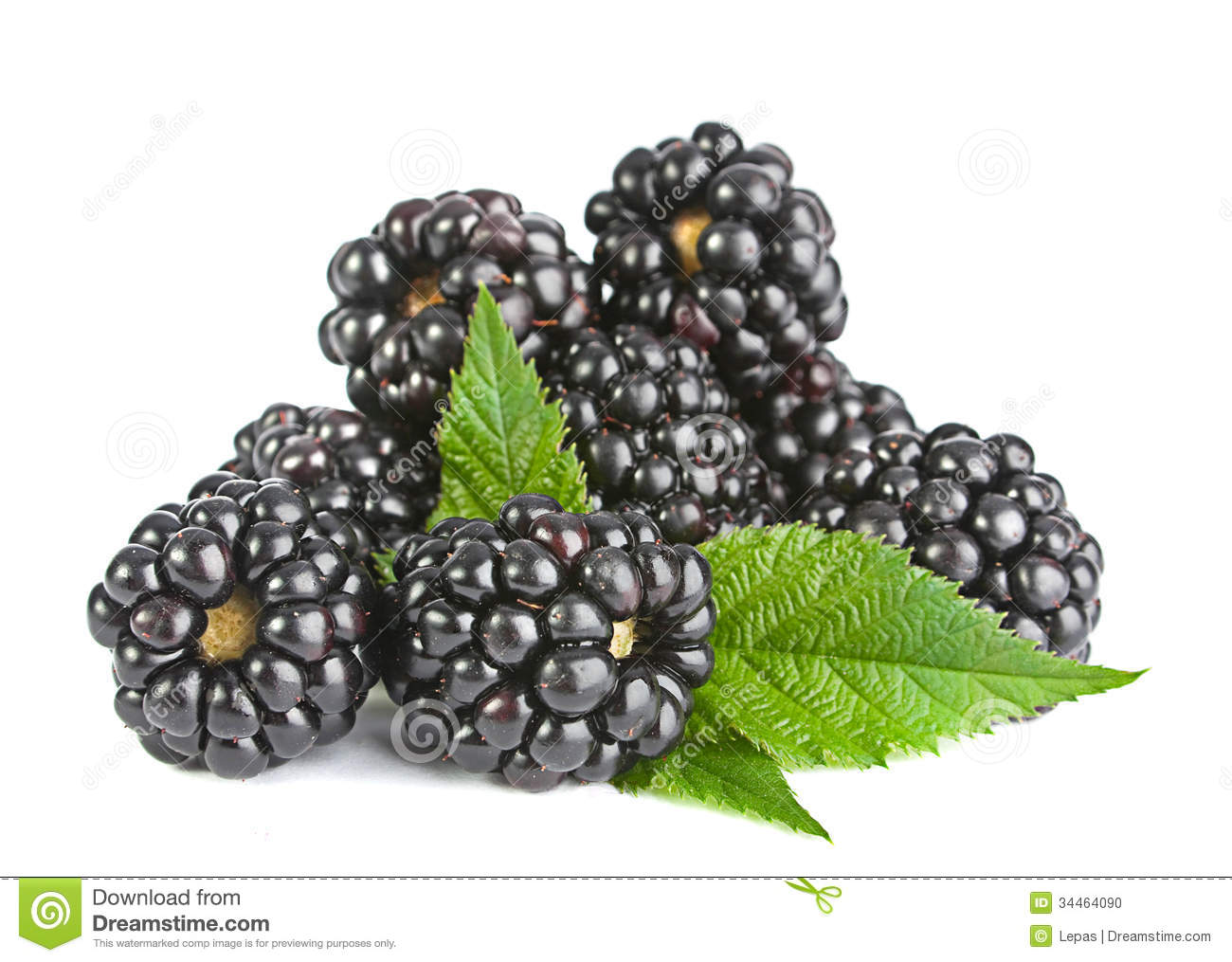 Clipart Blackberry Fruit.