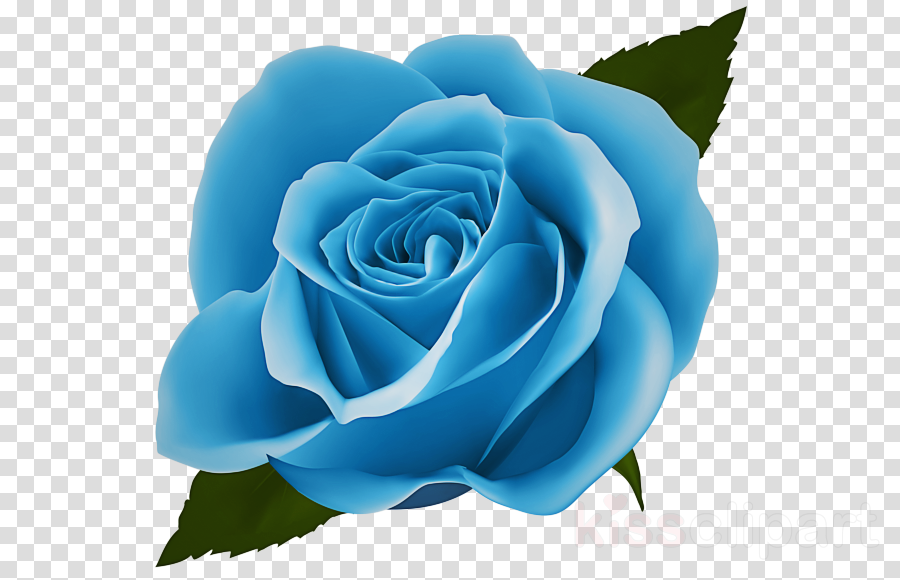 clipart blue roses 12 free Cliparts | Download images on Clipground 2021
