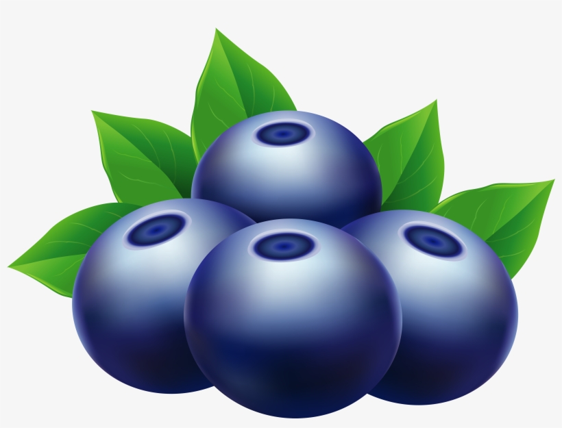 Clipart Blueberries.