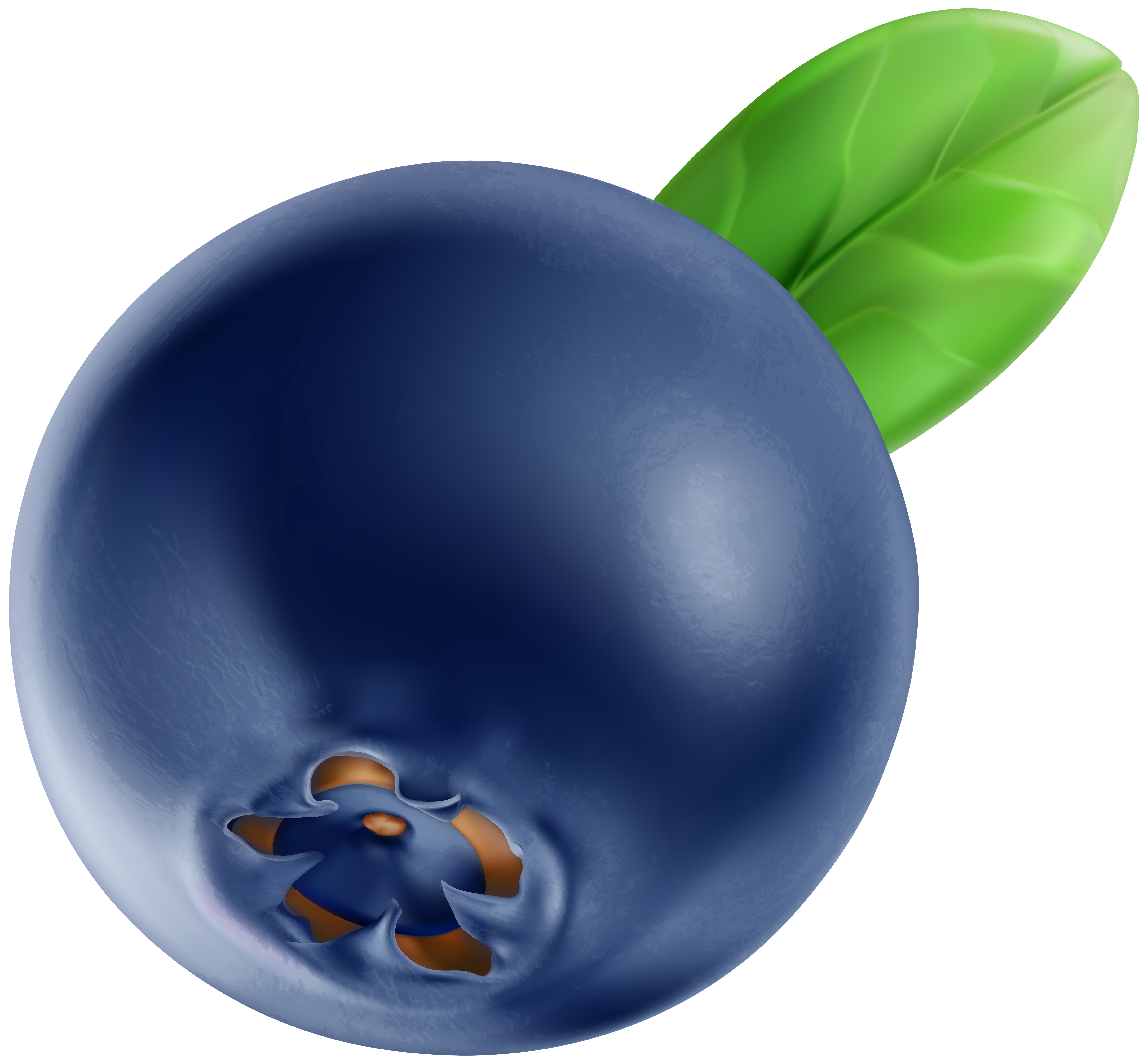 Blueberry PNG Clip Art Image.