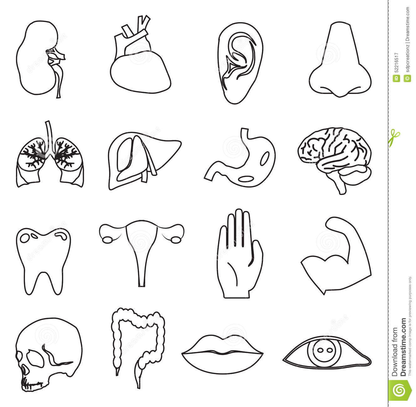 Human Body Parts Clipart Black And White Free Human Body Outline
