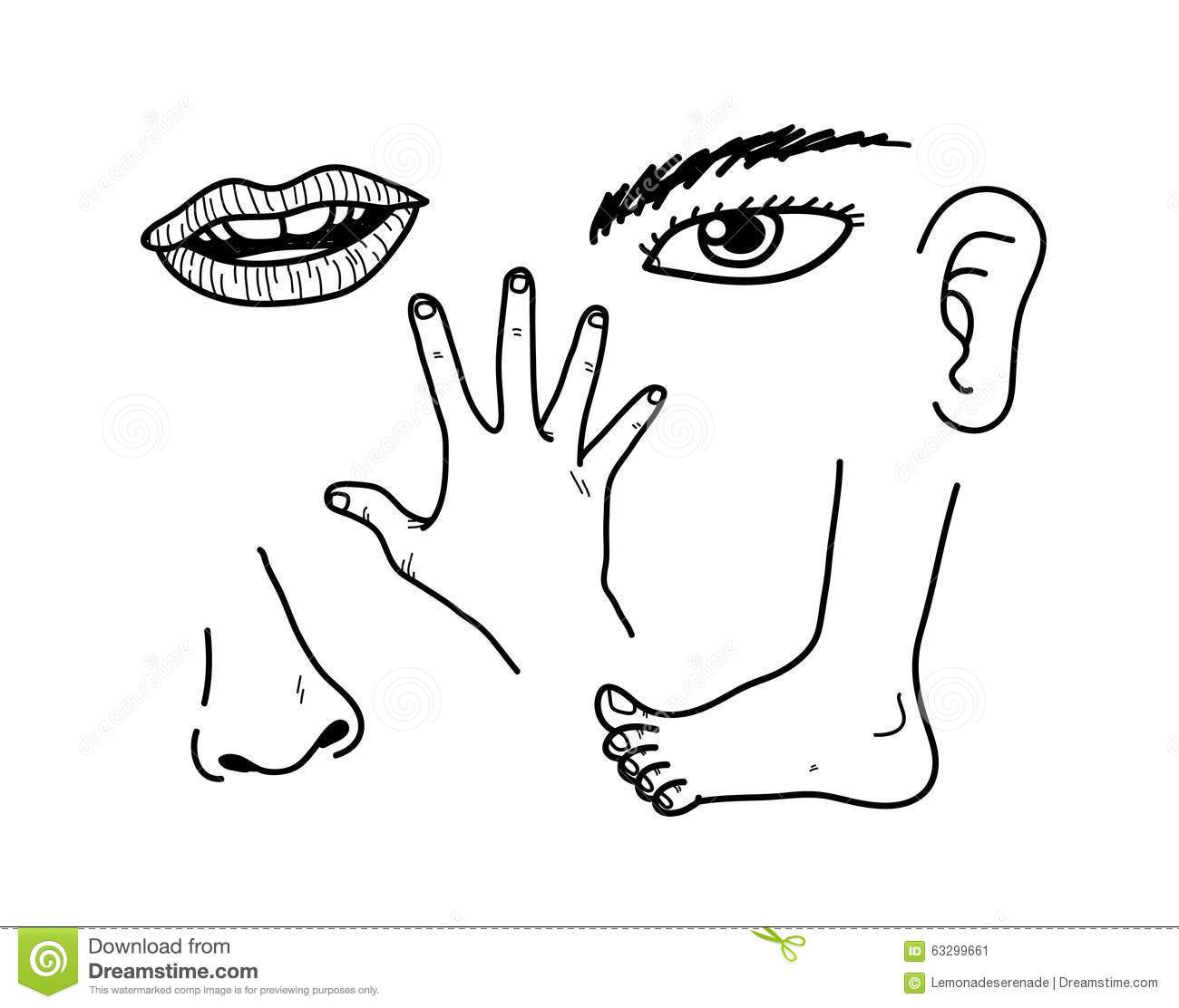 clipart body parts black and white 20 free Cliparts | Download images