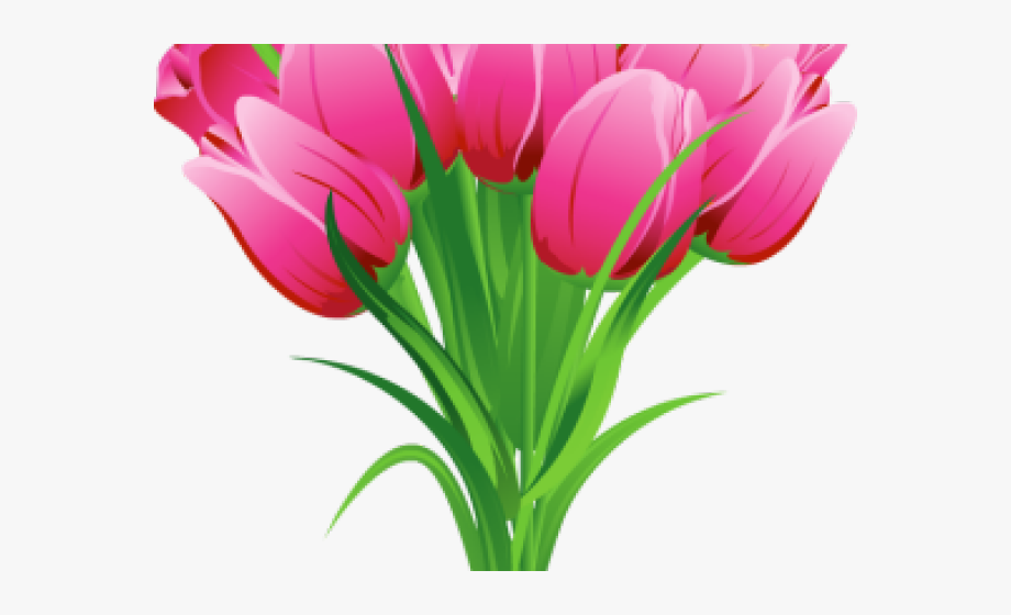 Tulip Clipart Flower Bokeh.
