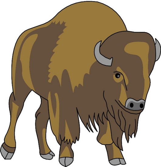 82+ Clipart Buffalo.