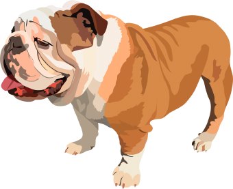 Free Bulldog Cliparts, Download Free Clip Art, Free Clip Art on.