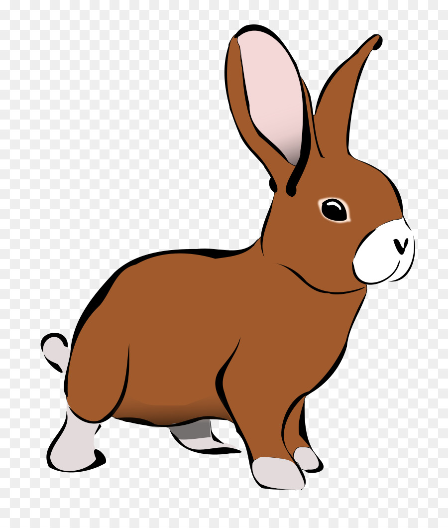 Easter Bunny Background clipart.